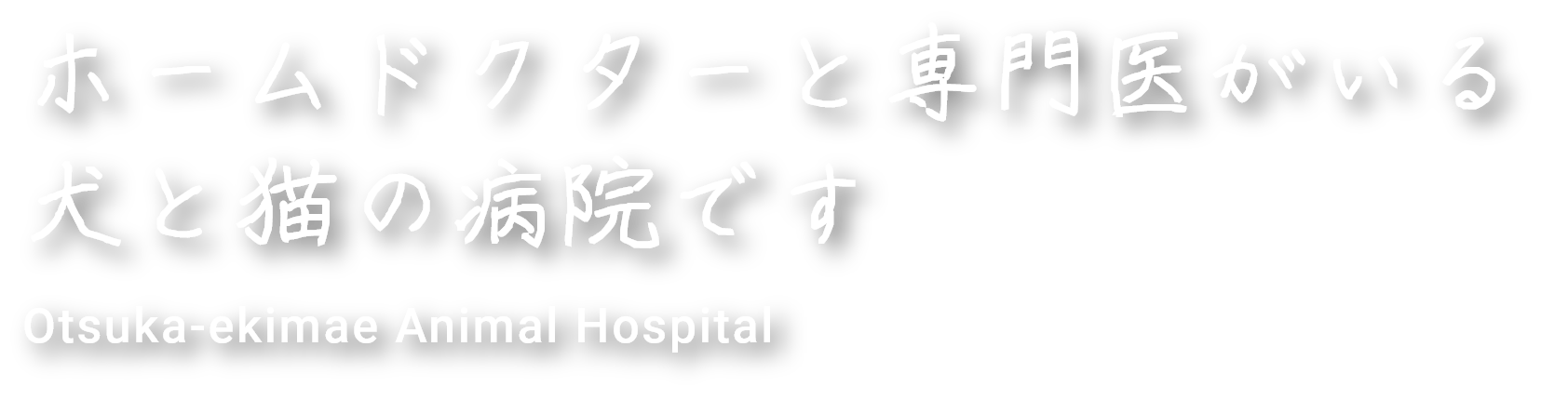ホームドクターと専門医がいる犬と猫の病院です Otsuka-ekimae Animal Hospital