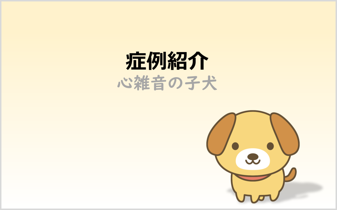 犬の動脈管開存症（PDA）の症例報告｜ポメラニアン仔犬の診断と治療